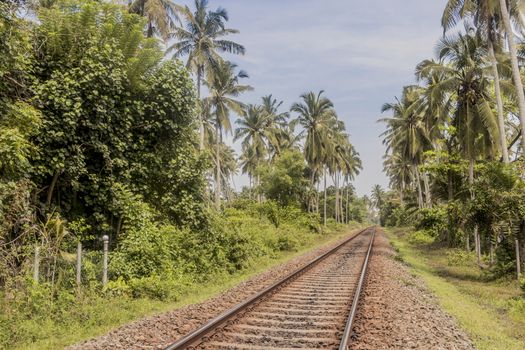 Train tracks and way in Sri Lanka with beautiful tropical landscape.