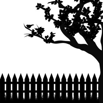 Silhouette of tree and fence