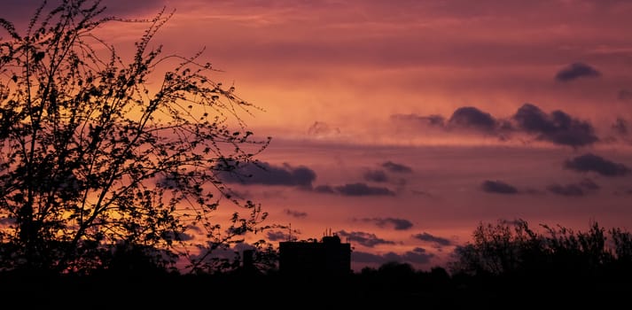 Incredible beautiful cloud formations and colors in the sky, sunset behind trees.