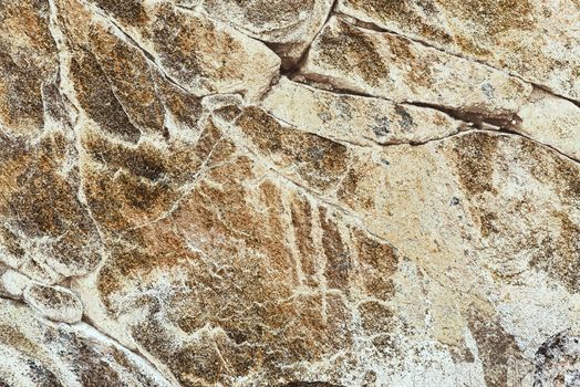 White and gray background. Stone surface close up.