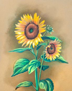 Oil pastel painting of some sunflowers in full bloom. Traditional illustration on paper.