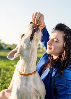 Pet care. Pet adoption. Young woman feeding her dog in the park in a summer sunny day