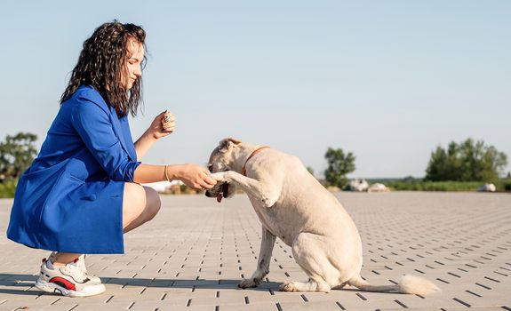 Pet care. Pet adoption. Mixed breed dog giving a paw to her owner. Young woman with her dog in the park