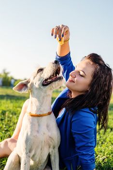 Pet care. Pet adoption. Young woman feeding her dog in the park in a summer sunny day