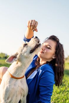 Pet care. Pet adoption. Young woman feeding her dog in the park in a summer sunny day