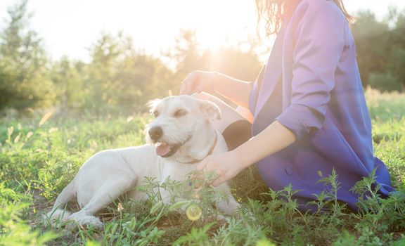 Pet care. Pet adoption. Young woman hugging her mixed breed dog in the park in the sunset