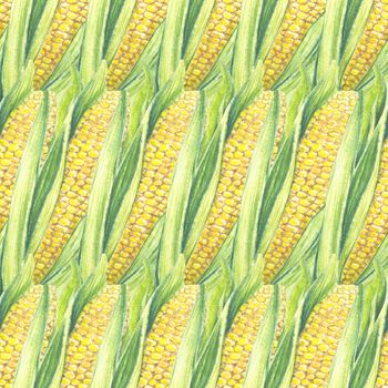 Seamless Pattern of corn cobs with leaves. Eco Background with vegetables plants. Shop design, healthy lifestyle, packaging, textile. Hand drawn watercolour illustration. Botanical realistic art.
