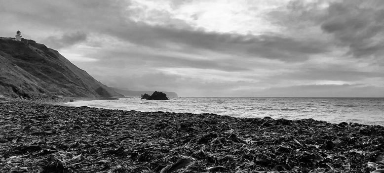 Landscape of a beautiful sea with a beach with stones and mountains in black and white color.