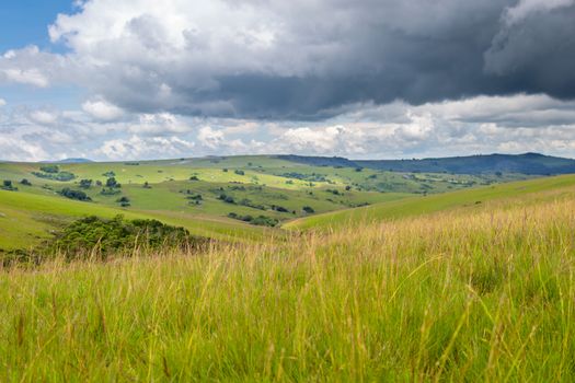 Dramatic landscape and rolling hills under thunderstorm clouds in Nyika National Park in Malawi, Africa