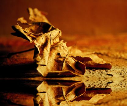 Golden Leaf. Autumn mood. 3D rendering