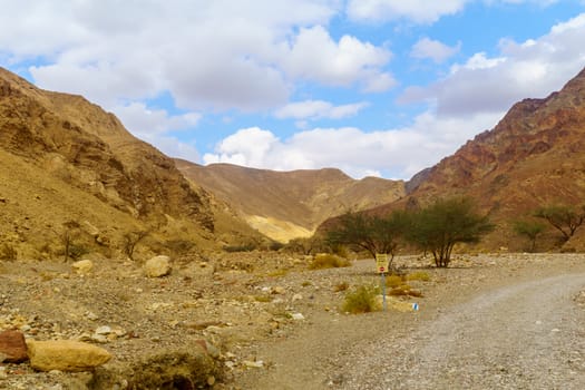 View of the Nahal Shlomo (desert valley). Eilat Mountains, southern Israel