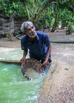 Galle, Sri Lanka - April 14, 2017: Local man knee deep in hole full of green water showing tourists how moonstones (semi precious gems) are extracted in moonstone mine.