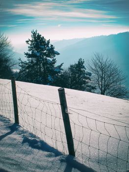 Winter landscape with snow,trees and a fence