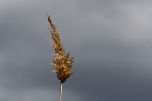 A sign on a pole. High quality photo