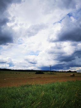 A close up of a green field with clouds in the sky. High quality photo