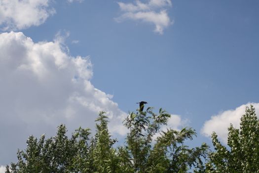 A sign on a cloudy day. High quality photo