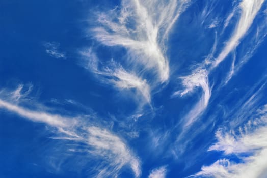 Clouds in blue sky. Sky with fluffy clouds background