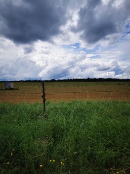 A large green field with trees in the background. High quality photo