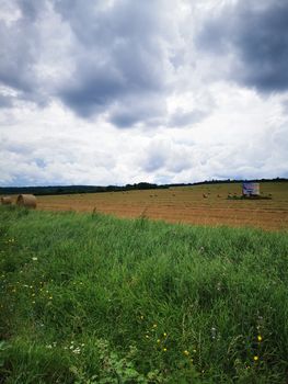 A large green field with trees in the background. High quality photo