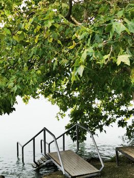 Staircase and view of the large tree at Lake Balaton High quality photo