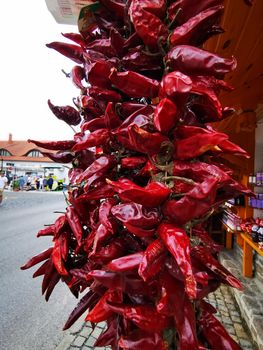 Strong chili peppers at Tihany. High quality photo