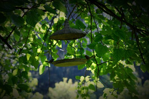 Hangable bird feeder and beautiful green leaves in the background. High quality photo
