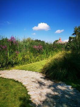 A path with grass and trees. High quality photo