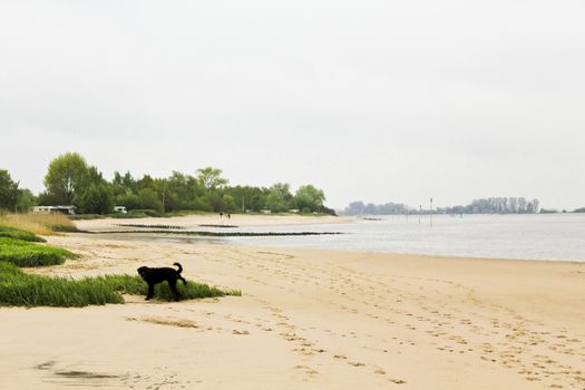 Rough and cold Weser beach in Brake Unterweser Lower Saxony Germany. Harrier Sand.