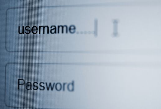 Closeup of LCD screen with login page with username and password column in internet browser.