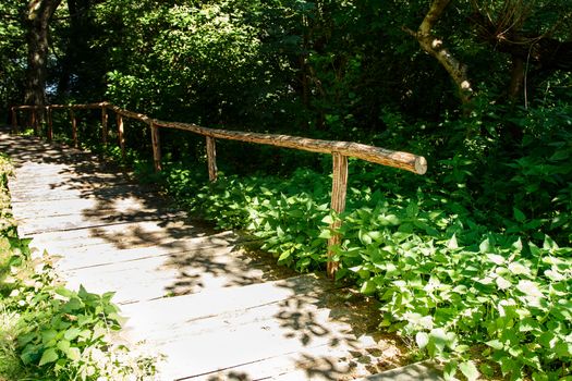 old wooden stairs in the park on bright sunny summer day