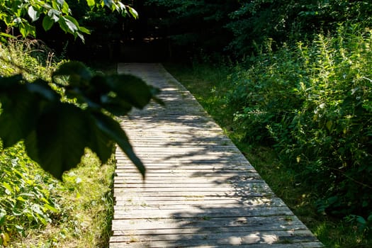 old wooden path in the park on bright sunny summer day