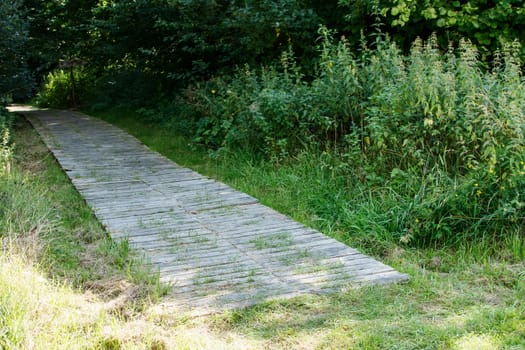 old wooden path in the park on bright sunny summer day