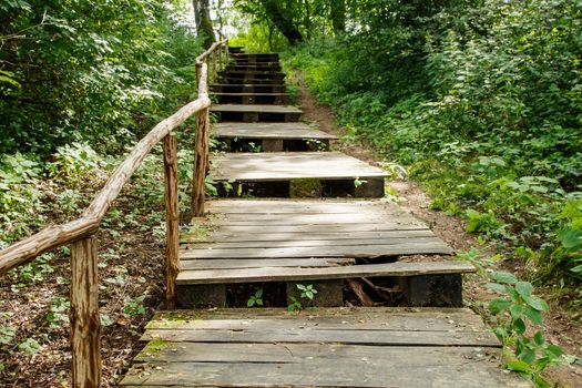 old wooden stairs in the park on bright sunny summer day