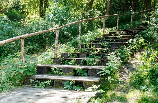 old wooden stairs in the park on bright sunny summer day