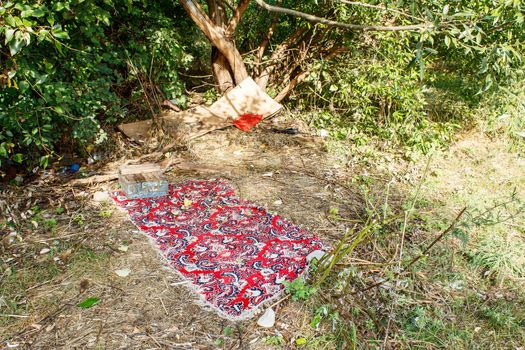 homeless sleeping place with old carpet in city park on summer day