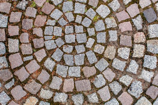 pavement of granite stone.old cobblestone road pavement texture, grass between stones. absrtact background. outdoor closeup