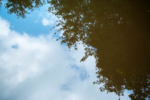 Surreal image of a forest, blue sky and clouds, reflected in a forest pond.