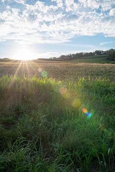 Full frame image in natural, golden hour sunlight shows a relaxing agricultural view with a sunbeam stretching acros the frame. Blue sky and dynamic white clouds above with copy space.
