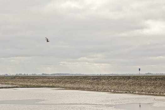 Water, clouds, dike and birds on the north German coast of Butjardingen in Lower Saxony, Germany.