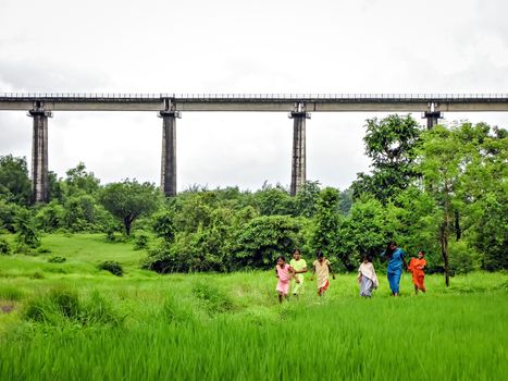 Khershet,Maharashtra,India-August 30th,2009: On the backdrop of a huge railway bridge, six village girls happily walking a small pathway surrounded by lush green fields after a drizzle in monsoon.
