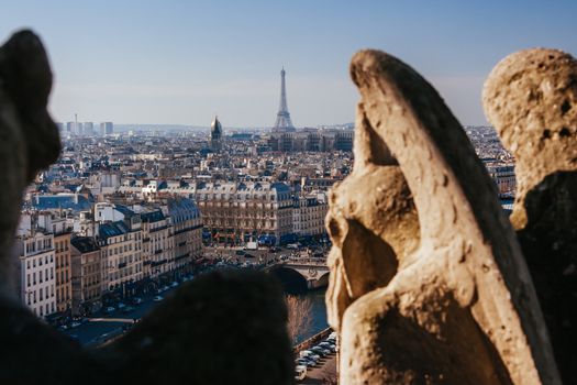 Notre Dame gargoyle detail overlooking the Paris skyline in France