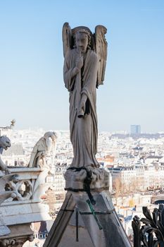 Notre Dame gargoyle detail overlooking the Paris skyline in France