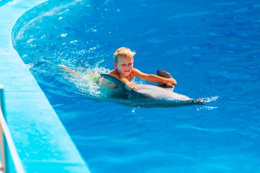 Happy little boy swimming with dolphins in Dolphinarium. Swimming, bathing and communication with dolphins.