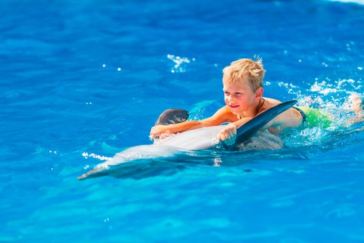 Happy little boy swimming with dolphins in Dolphinarium. Swimming, bathing and communication with dolphins.