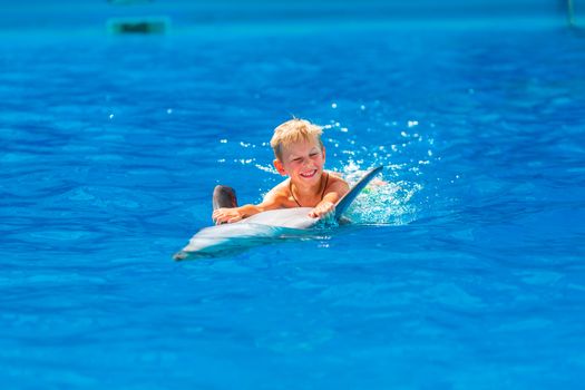 Happy little boy swimming with dolphins in Dolphinarium. Swimming, bathing and communication with dolphins.