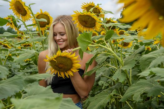 A gorgeous blonde model poses outdoors in a field of sunflowers while enjoying a summers day