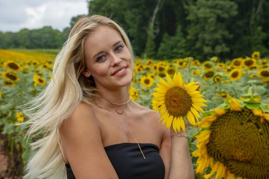 A gorgeous blonde model poses outdoors in a field of sunflowers while enjoying a summers day