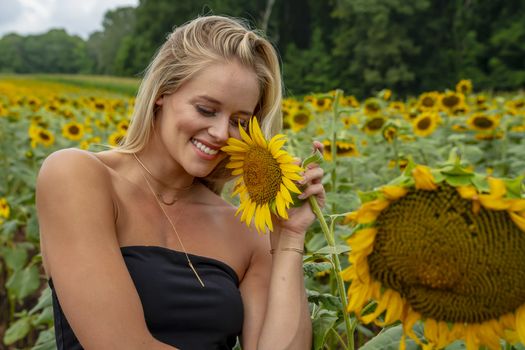 A gorgeous blonde model poses outdoors in a field of sunflowers while enjoying a summers day