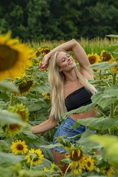 A gorgeous blonde model poses outdoors in a field of sunflowers while enjoying a summers day