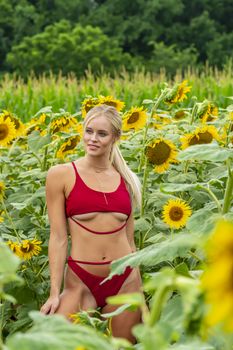 A gorgeous blonde model poses outdoors in a field of sunflowers while enjoying a summers day